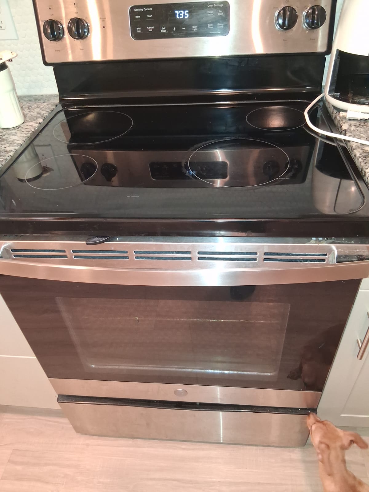 Deep Kitchen Appliance Care
